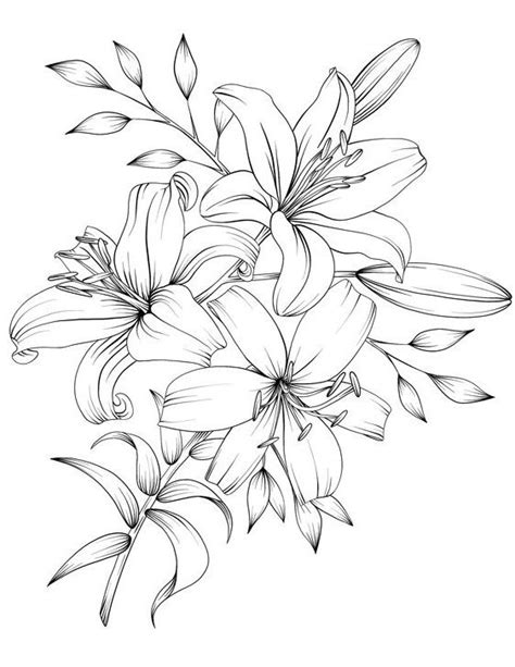 Mewarnai Gambar Bunga Flower Line Drawings Flower Sketches Flower