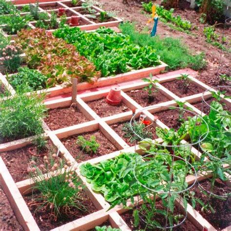 23 Square Foot Vegetable Gardening Ideas You Should Check SharonSable