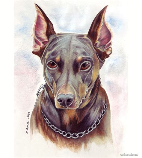 Dog Colored Pencil Drawing By Tavington 24