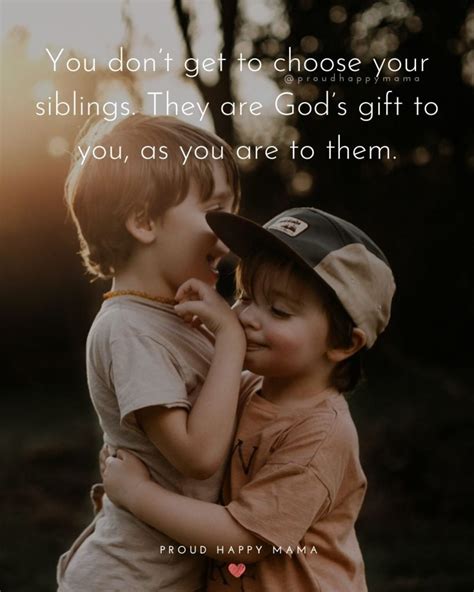 100 best quotes about siblings and their bond [with images]