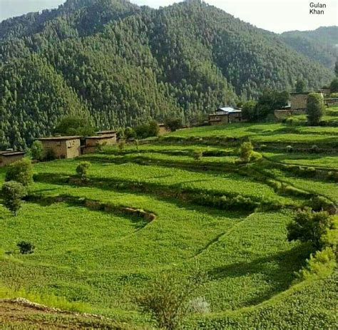 So Fantastic Nature Beauty Of Utror Valley Swat Khyber Pakhtunkhwa Pakistan