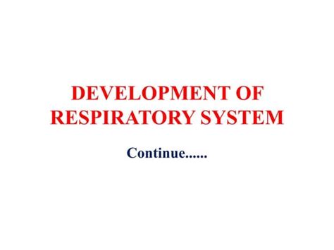 Development Of Lung