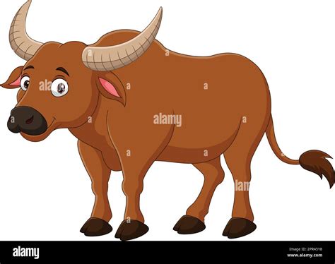 cartoon buffalo isolated on white background stock vector image and art alamy
