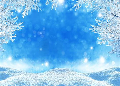 Gya White Frozen Snowflake Backdrop Photography Snow