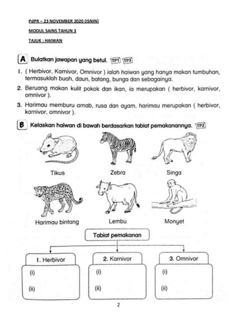 Soalan Sains Tahun 6 Dan Jawapan  Sains Tahun 6 Mikroorganisma