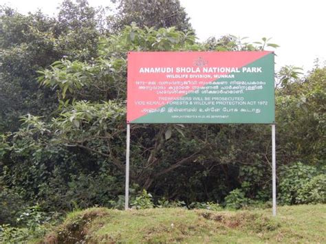 Anamudi Shola National Park Kannan Devan Hills 2021 What To Know