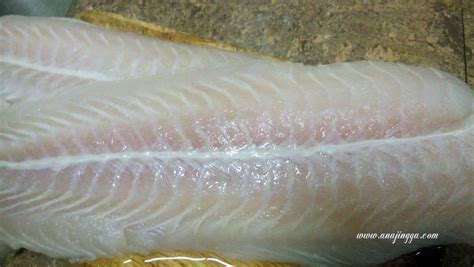 Results for sangkar ikan translation from malay to english. Resipi Isi Ikan - Resepi Bergambar