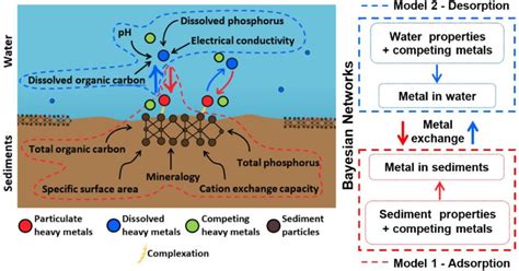 Model Of Activated Carbon Dose And Sedimentwater 50 Off