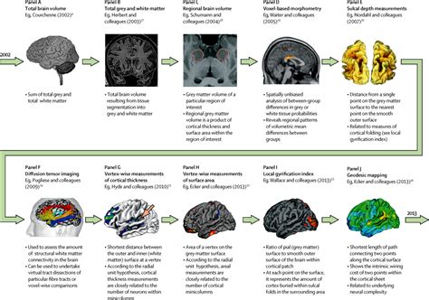 Neuroimaging In Autism Spectrum Disorder Brain Structure And Function Across The Lifespan The