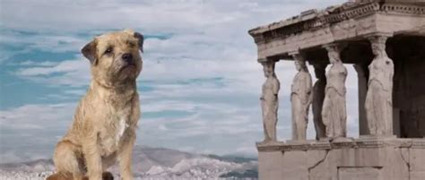 5 Best Known Ancient Greek Dog Breeds