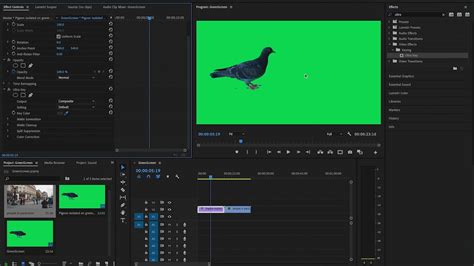 After you have reached the next window click add > load and choose the logo remover filter from the list. How to remove GREEN SCREEN in adobe premiere!! (Using ...