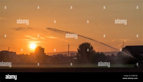 Field Irrigation At Sunset Stock Photo Alamy