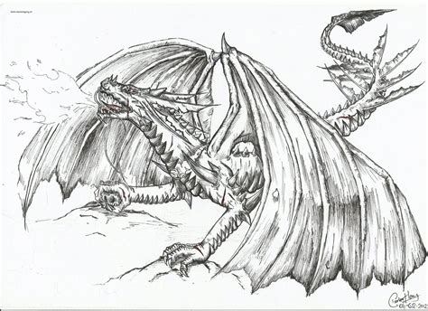 Fire Dragon Coloring Pages For Adults Coloring Pages