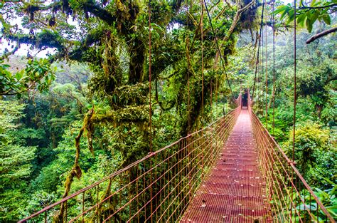 Costa Rica Travel Guide Central America Lonely Planet