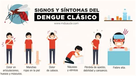 21 Síntomas Del Dengue Clásico Y Hemorrágico Mdsaúde