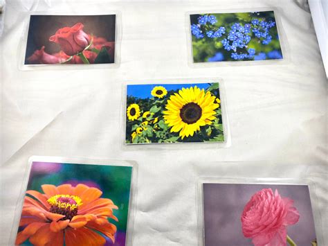 Flower Matching Game Etsy