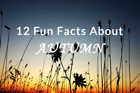 12 Fun Facts About Autumn Hey Sunny Jess