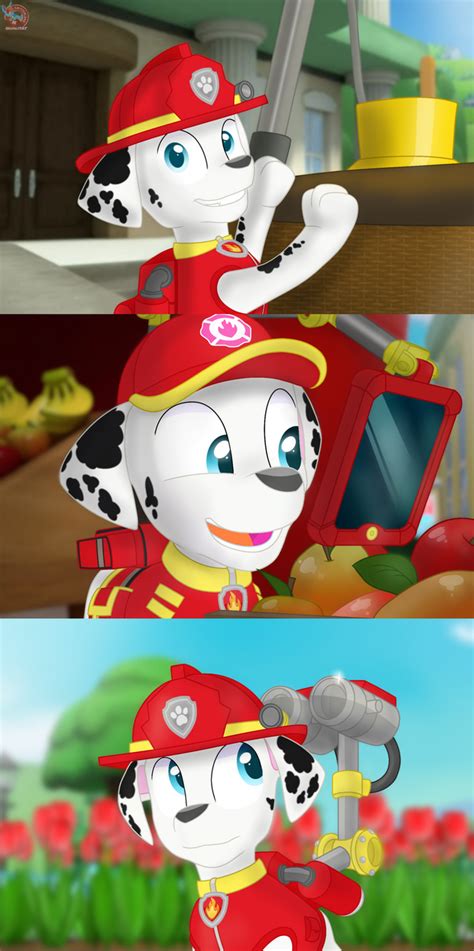 Paw Patrol Collage 1 By Rainboweevee Da On Deviantart