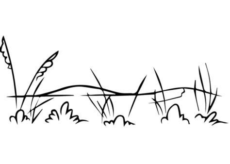 Grassland coloring page | Free Printable Coloring Pages