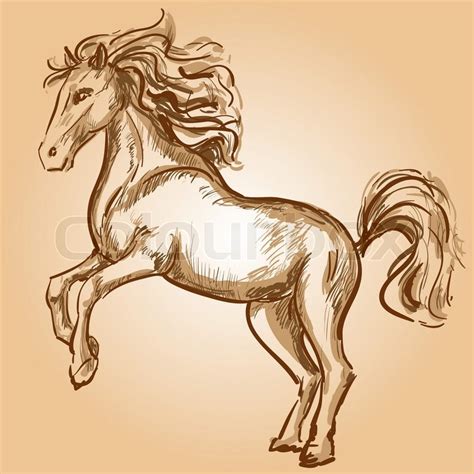 Horse Stock Vector Colourbox