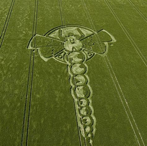 Dragonfly Crop Circle Appears In Wiltshire2009 Ufo News Aliens