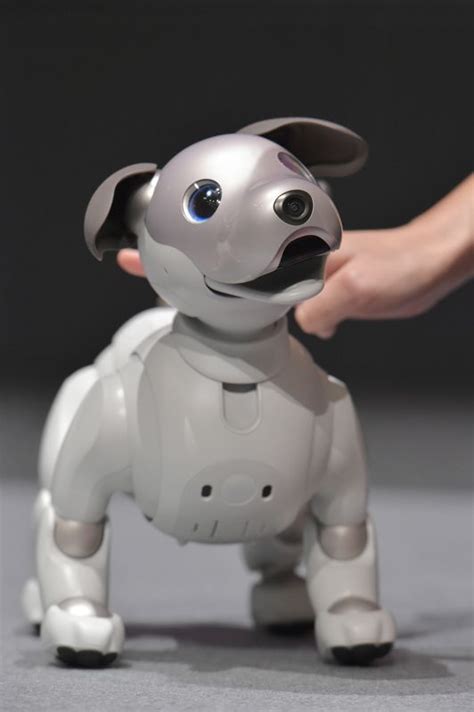 Doce años después Sony revive a la mascota robot Aibo Nippon com