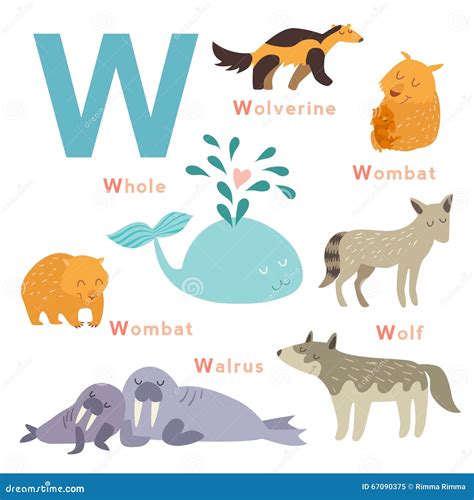 Animales De La Letra De W Fijados Alfabeto Inglés Ilustración Del