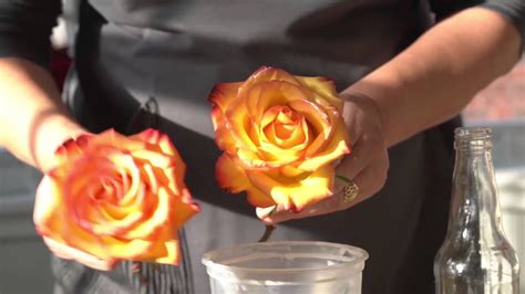 Maybe you would like to learn more about one of these? How to Preserve Flowers with Wax - YouTube
