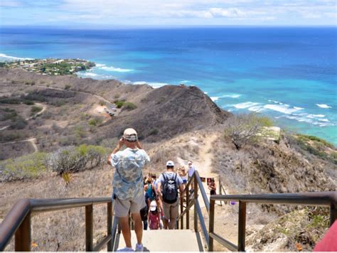 Hiking Shuttle To Diamond Head And Manoa Falls Rainforest Trail From