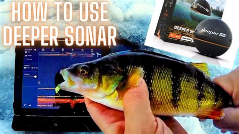 How To Use Deeper Pro Plus Sonar For Ice Fishing Perch Youtube