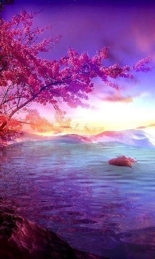 Cherry Blossom Lake Sunset Lwp For Android Lake Sunset Beautiful