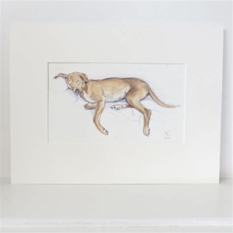 Sleeping Hound Lurcher Painting Katherine Tyrer Illustrator