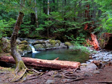 Pool In Gifford Pinchot National Forest Beautiful Landscapes Gifford