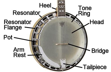 (linguistics) a pitch or change in pitch of the voice that serves to noun: 5-String Banjo Buyers' Guide - from Riverboat Music(tm)