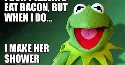Viimeisimmät twiitit käyttäjältä kermit the frog (@kermitthefrog). Oh, Kermit… | Kermit, Funny comments and Funny stuff