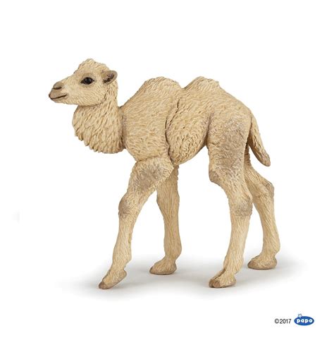 Find out more in our cookies & similar technologies policy. Camel calf - Papo
