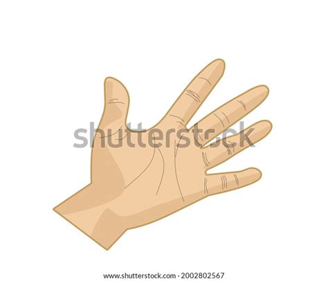Vector Illustration Left Hand Palm Telapak Stock Vector Royalty Free
