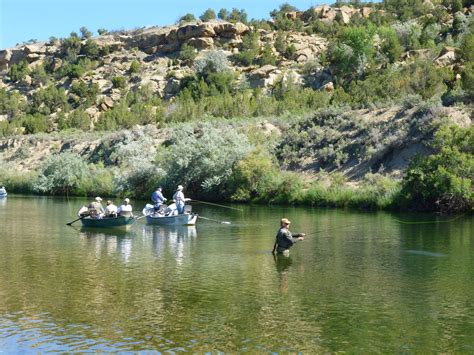 Quality Waters Of The San Juan River River Fly Fishing Flies Trout