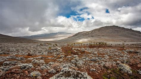Bale Mountains Holidays In Ethiopia Steppes Travel
