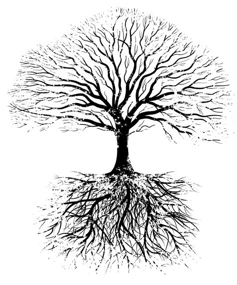 Tree Roots Clipart Black And White 20 Free Cliparts