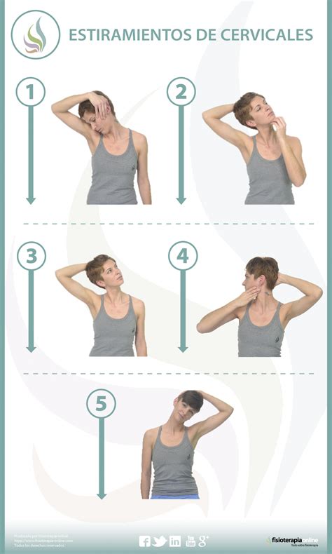 Estiramientos Para Cuidar Tus Cervicales Y Prevenir Lesiones Pilates Video Pilates Workout