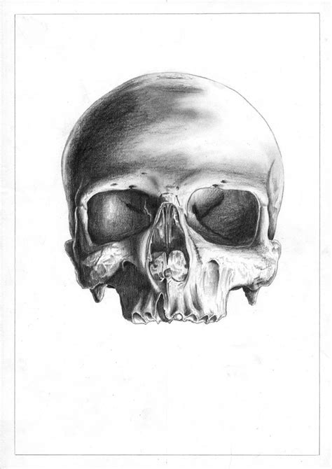 Skull 1983 Feuilleton