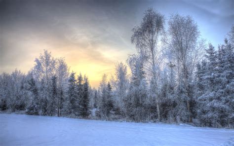 In The Winter Mac Wallpaper Download Allmacwallpaper