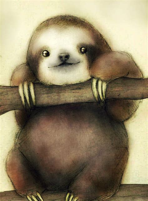 Sloth By Friendermen On Deviantart