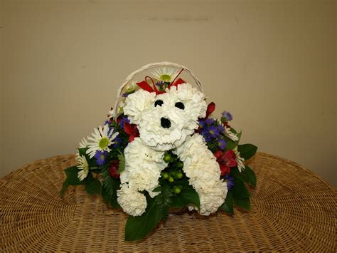 Official music video by mymp performing especially for you. flower dog by Especially For You Florist NJ | Christmas ...