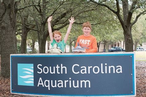 Behind The Scenes At The South Carolina Aquarium The Simpsonville