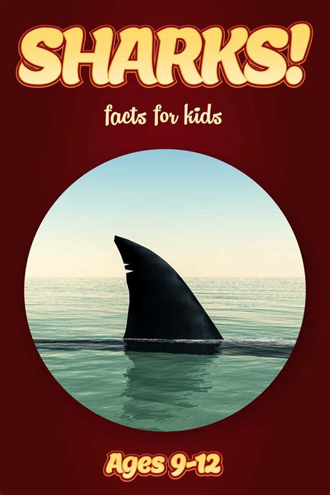 Shark Facts Kids Non Fiction Book Ages 9 12 Clouducated