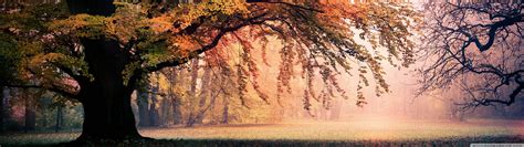 3840 X 1080 Autumn Wallpapers Top Free 3840 X 1080 Autumn Backgrounds