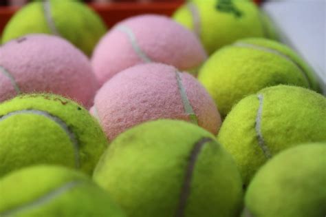 The 13 Best Tennis Balls For Sale In 2019 Reviewed