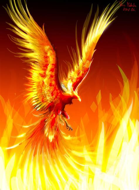 This is the total number of frames your final gif will have. dragon phoenix | Der Phönix-Dragon | Tattoo | Pinterest ...